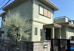 S__272916490